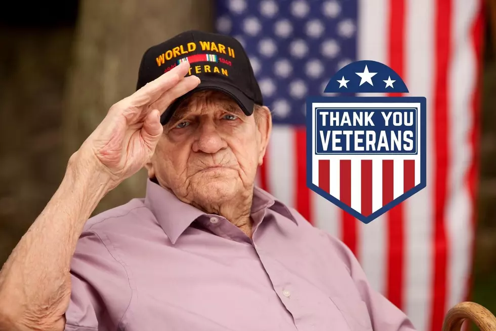 Dubuque to DC 2023 Honor Flight is Scheduled for Departure
